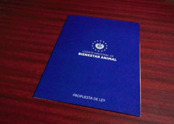 Ejecutivo y Asamblea preparan reformas para castigar a maltratadores de animales