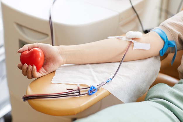 donante sangre cateter tiritas sosteniendo corazon juguete donando sangre laboratorio 249974 4246 1
