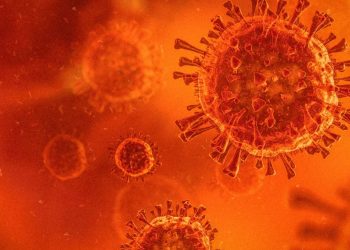 ¿Qué es la variante Delta de la COVID-19 y por qué es más peligrosa y contagiosa?