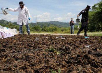 Destruyen en Changallo droga decomisada valuada en más de $159,000