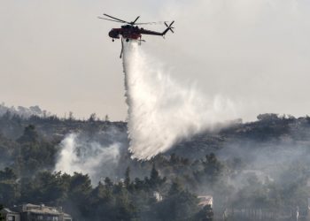 Los incendios arrasan superficies récord en Grecia, Turquía se salva por la lluvia