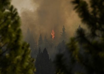 Nuevo incendio forestal explota cerca de la capital de California