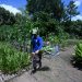 El Salvador tiene su arca de Noé para conservar semillas nativas
