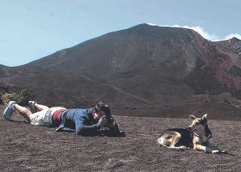 Mertinore, el artista santaneco que inspira sus obras en los perros