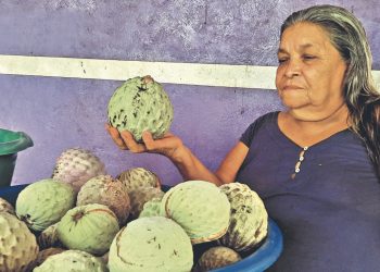 La anona es patrimonio de la comunidad Yologual, La Unión