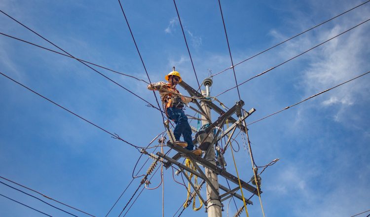 Más de 40 técnicos electricistas y 10 arboristas participaron en estas tareas de mejora y mantenimiento de la red. Foto / Diario El Salvador.