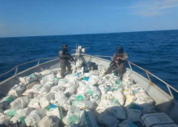 Decomisos de droga en gestión del presidente Bukele suman $150 millones