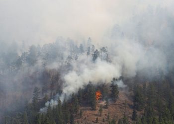 La ola de calor en la Península deja primeros incendios en España
