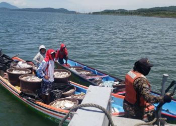 Fuerza Armada captura a pescadores con 4,000 libras de pescado ilegal