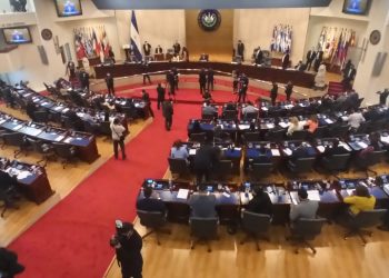 Asamblea aprobará reformas para beneficiar a consumidores, ley para atención de recién nacidos y ratificará fondos para salud y educación
