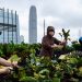 La agricultura está en las nubes en Hong Kong