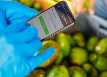 Gobierno de El Salvador mantiene vigilancia permanente para evitar alzas injustificadas en los precios de la canasta básica