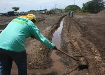 MOP Verde contará con un vivero para reforestar los proyectos viales