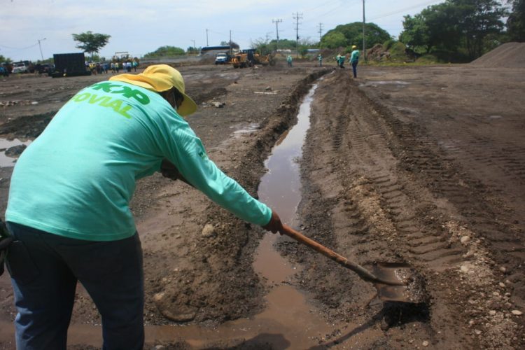 Con el programa MOP Verde se siembran árboles donde se han construido proyectos de infraestructura. Foto: Guillermo Martínez/DES