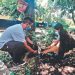 Centro educativo en Ahuachapán fomenta la adopción de un árbol