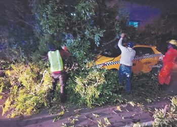 Árbol cae sobre un taxi cuando iba en marcha en La Unión