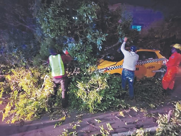 FOTO ARHCIVO/ Diario El Salvador