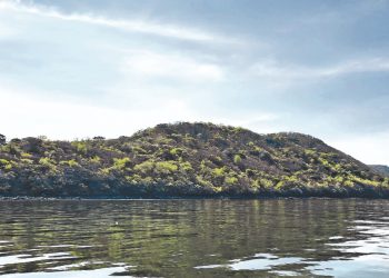 Laboratorio de la UES investiga concentración de algas marinas en La Unión