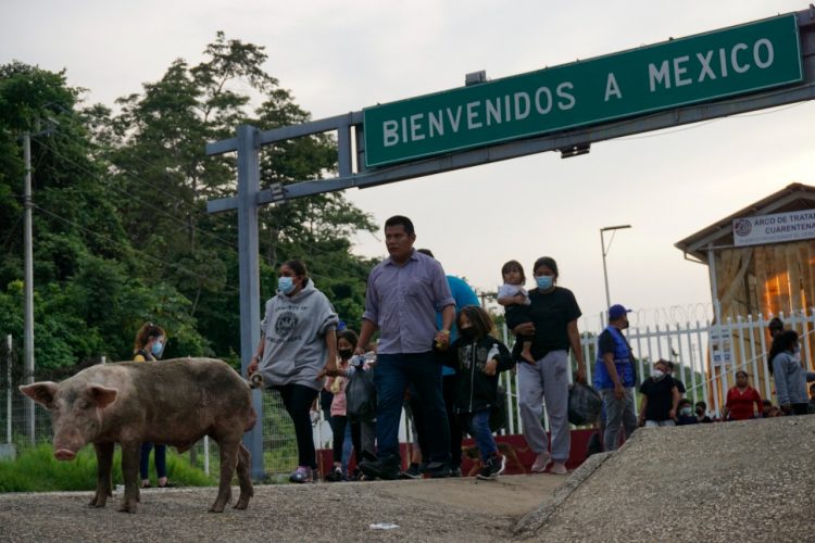 En el limbo. Decenas de familias con casos activos del asilo 
tendrán que esperar las nuevas disposiciones de la autoridad. Foto AFP.