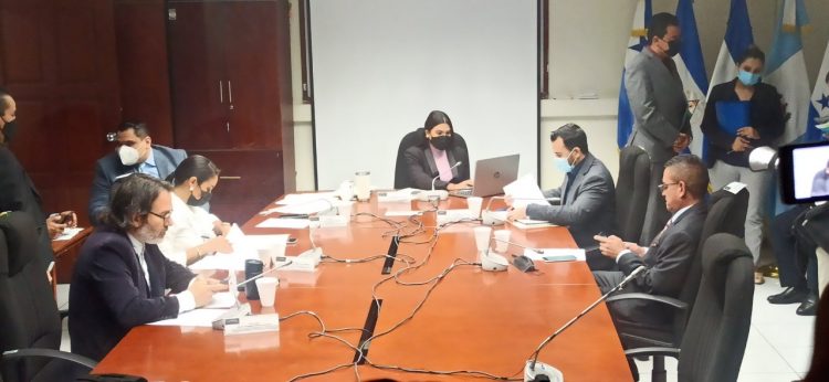 Comisión que investiga asignación de fondos a oenegés.