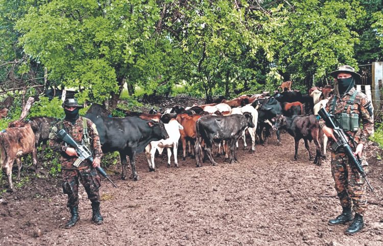 FOTO/ Diario El Salvador