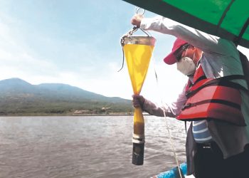 Expertos descartan marea roja en golfo de Fonseca de La Unión