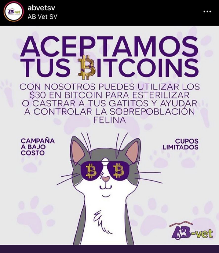 fnac01092021 Artes Bitcoin002