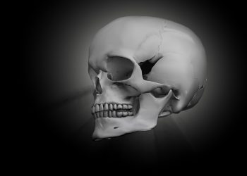 El ADN de un esqueleto encontrado en Indonesia revela un grupo desconocido de humanos