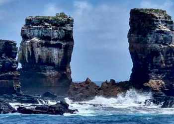 Recolectan 1,627 kilos de desechos en las islas ecuatorianas de Galápagos