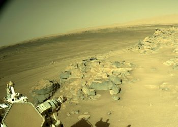 NASA confirma que el rover Perseverance obtuvo fragmento de roca de Marte