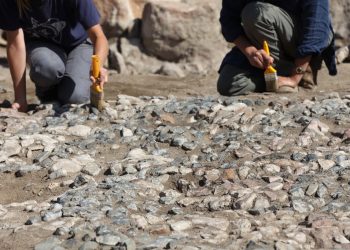 Hallan en Turquía «el antepasado» de los mosaicos mediterráneos