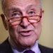 Jefe del Senado de EEUU pide a Biden poner fin a las «detestables» expulsiones de haitianos