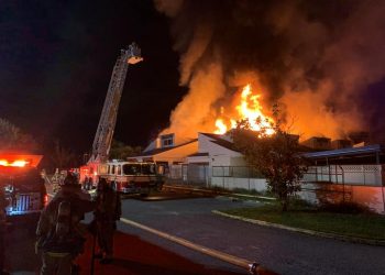Mueren 23 gatos en incendio en centro de adopción de mascotas de Florida