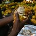 Lanzan directorio para impulsar exportaciones agrícolas en El Salvador