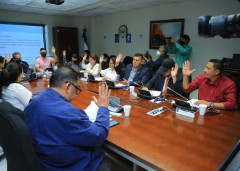 Comisión Electoral emite dictamen favorable a «Ley Especial para el Ejercicio del Sufragio en el Extranjero»