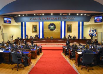Asamblea aprueba Ley Transitoria para la Estabilización de Precios del Gas Licuado de Petróleo