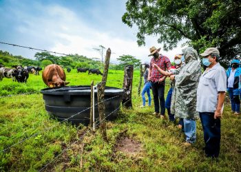 El Salvador explora la ganadería resiliente y ecoamigable