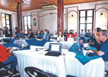 La comisión de reformas analiza voto en el exterior sin pérdida de tiempo