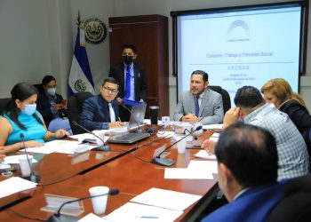 Comisión de trabajo de Asamblea lee proyecto de ley de los servicios  privados de seguridad