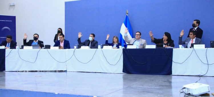 Comisión Ad Hoc en sesión de trabajo.