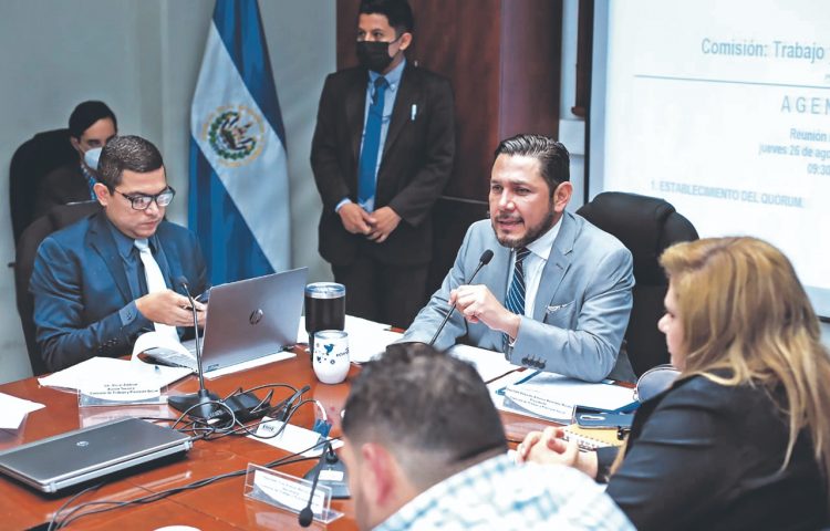 La proyección de la comisión es tener el articulado completo en tres semanas para enviarlo al pleno y que sea aprobado, según el diputado Edgardo Mulato.