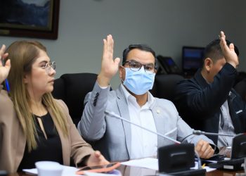 Comisión acuerda que connacionales con DUI emitido en El Salvador con dirección en el extranjero podrán votar en 2024