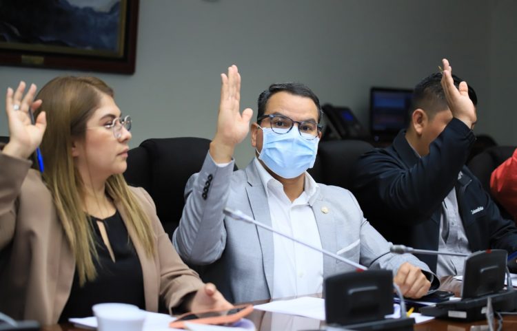 Diputados de la comisión de Reformas Electorales.