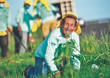 Más de 100,000 árboles ha sembrado MOP Verde