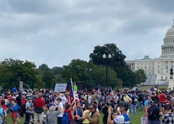 Se presentaron menos manifestantes de los esperados  en el Capitolio de Estados Unidos