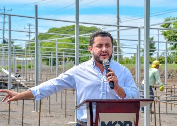 Vivero del programa MOP Verde tiene el 60% de avance de su construcción
