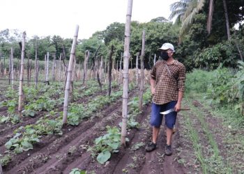 Capacitaciones del Centa motivaron a agricultor en Usulután