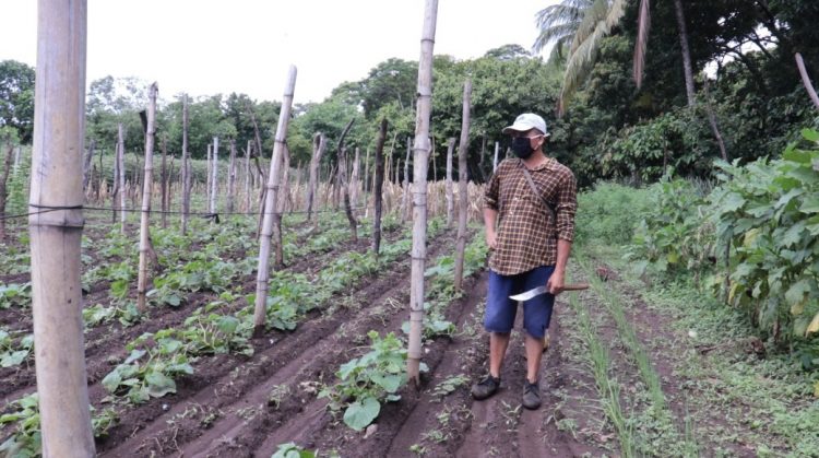 FOTO/ Diario El Salvador