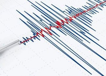 Sismo de magnitud 6,6 sacude el sur de Chile sin causar víctimas ni daños