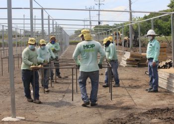 Fotogalería: El primer vivero del MOP producirá 1 millón de árboles cada año